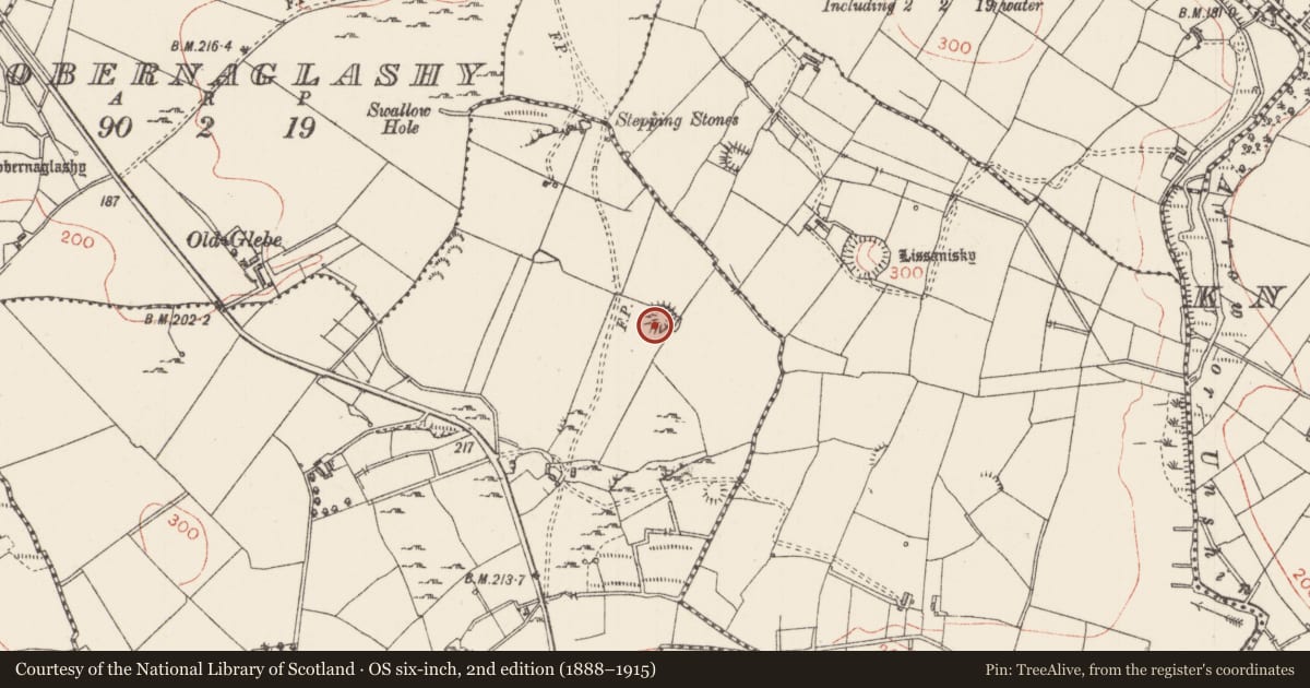Ordnance Survey six-inch map, 2nd edition (1888–1915) covering the location of Ringfort - rath, Whitehill, County Sligo, with a pin at the register's coordinates