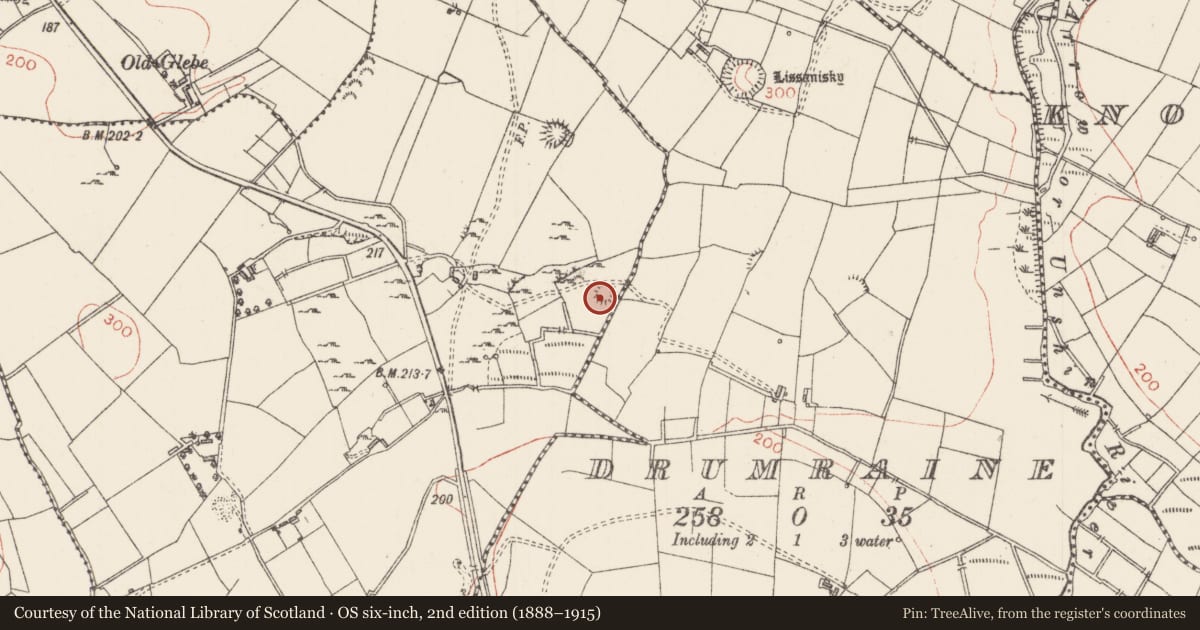 Ordnance Survey six-inch map, 2nd edition (1888–1915) covering the location of Ringfort - rath, Whitehill, County Sligo, with a pin at the register's coordinates