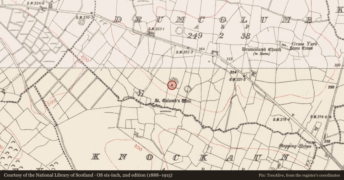 Ordnance Survey six-inch map, 2nd edition (1888–1915) covering the location of Ringfort - rath, Drumcolumb, County Sligo, with a pin at the register's coordinates