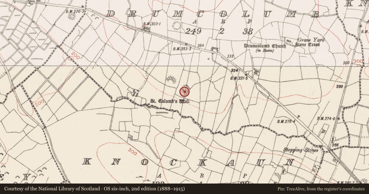 Ordnance Survey six-inch map, 2nd edition (1888–1915) covering the location of Ringfort - rath, Drumcolumb, County Sligo, with a pin at the register's coordinates