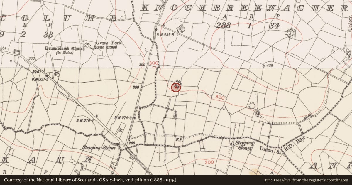 Ordnance Survey six-inch map, 2nd edition (1888–1915) covering the location of Ringfort - rath, Knockbreenagher, County Sligo, with a pin at the register's coordinates