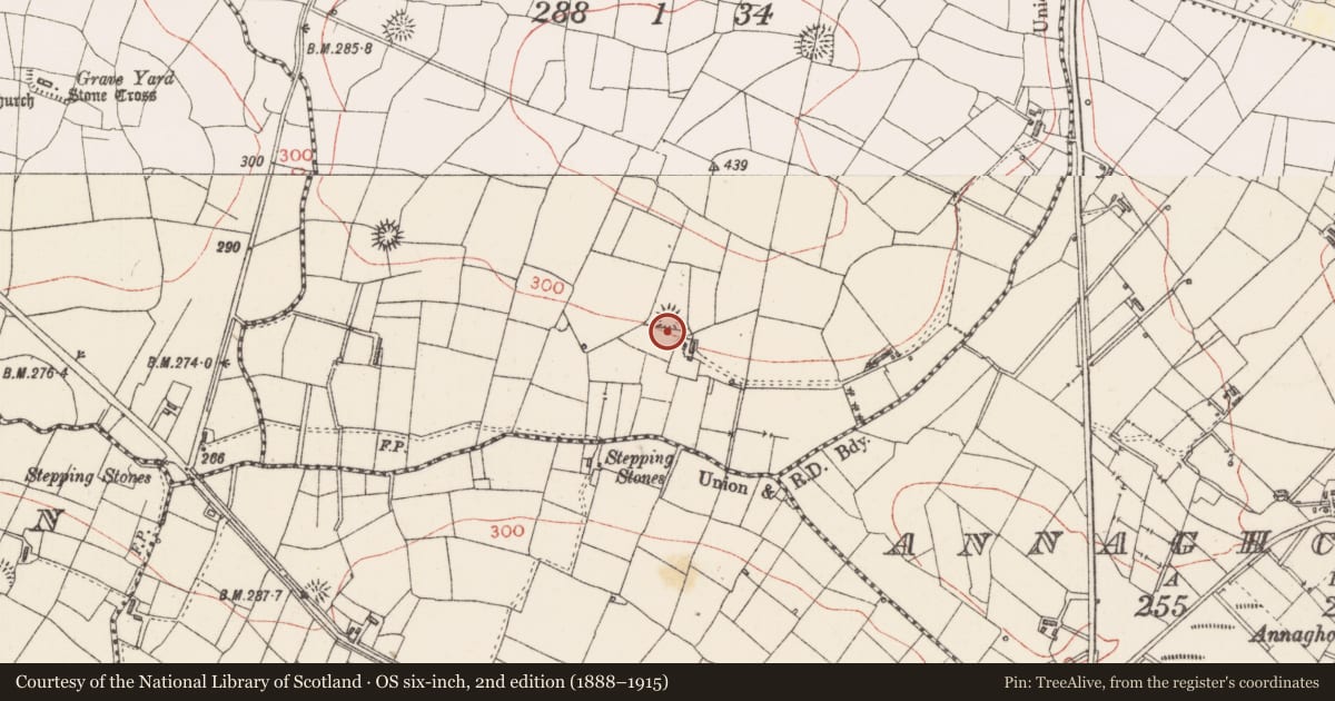 Ordnance Survey six-inch map, 2nd edition (1888–1915) covering the location of Ringfort - rath, Knockbreenagher, County Sligo, with a pin at the register's coordinates