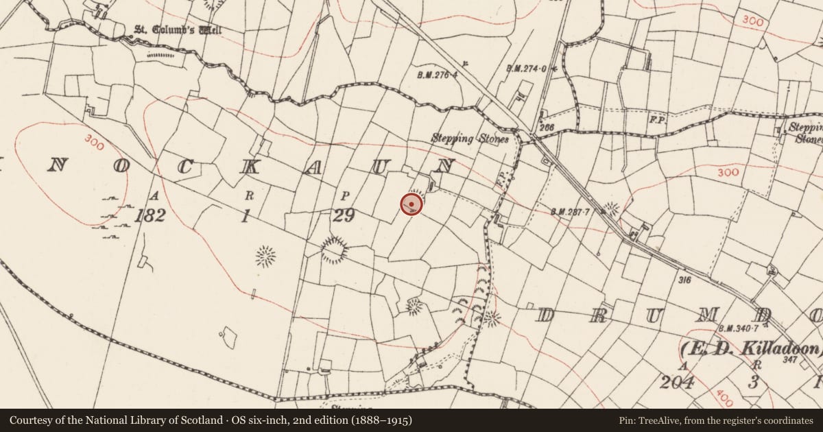 Ordnance Survey six-inch map, 2nd edition (1888–1915) covering the location of Ringfort - rath, Knockaun, County Sligo, with a pin at the register's coordinates