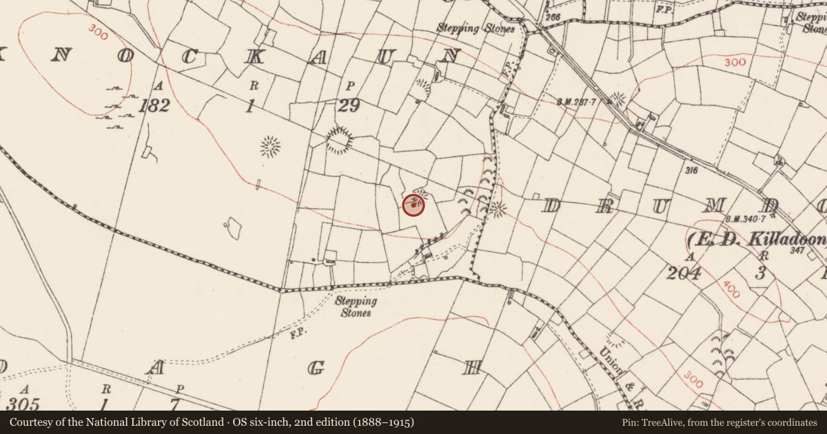 Ordnance Survey six-inch map, 2nd edition (1888–1915) covering the location of Ringfort - rath, Knockaun, County Sligo, with a pin at the register's coordinates