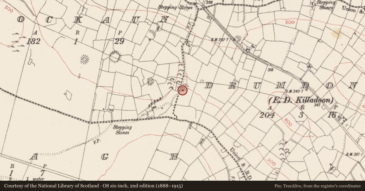 Ordnance Survey six-inch map, 2nd edition (1888–1915) covering the location of Ringfort - rath, Drumdoney, County Sligo, with a pin at the register's coordinates