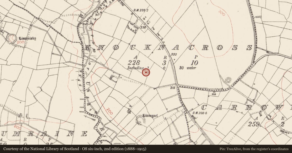 Ordnance Survey six-inch map, 2nd edition (1888–1915) covering the location of Ringfort - rath, Knocknacross, County Sligo, with a pin at the register's coordinates