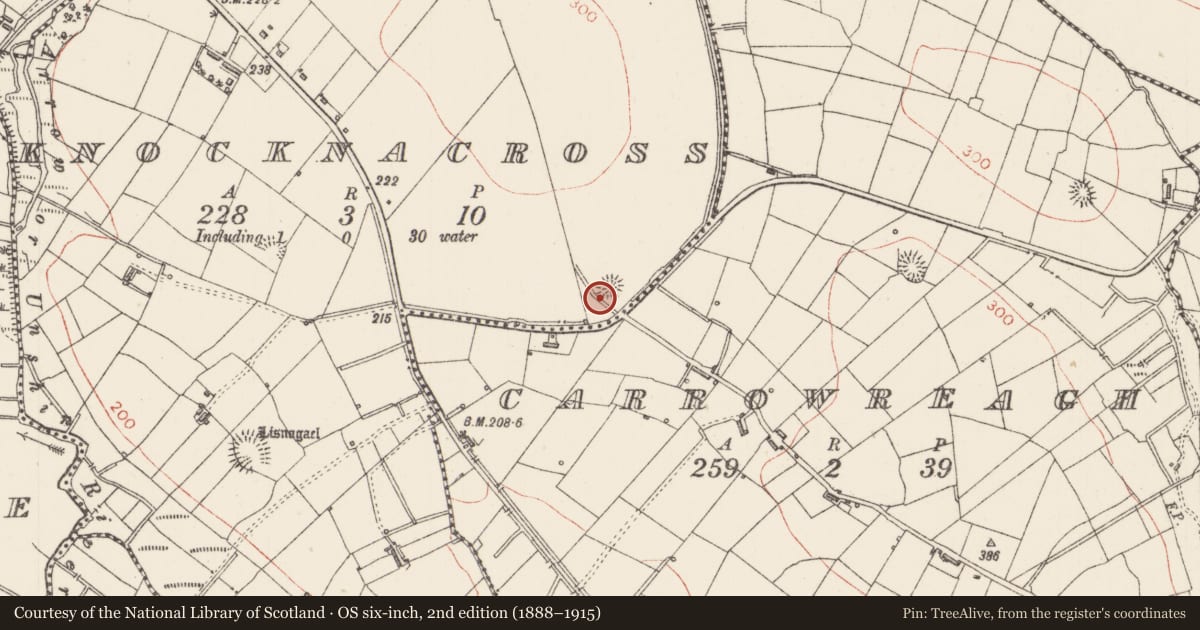 Ordnance Survey six-inch map, 2nd edition (1888–1915) covering the location of Ringfort - rath, Knocknacross, County Sligo, with a pin at the register's coordinates