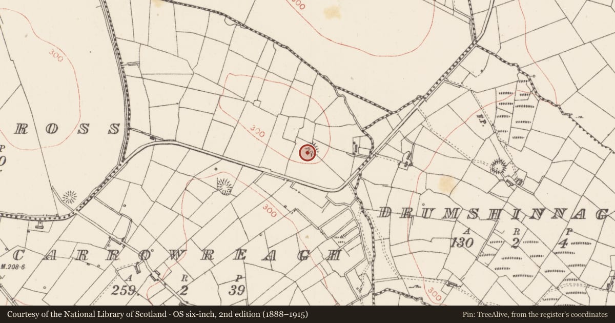 Ordnance Survey six-inch map, 2nd edition (1888–1915) covering the location of Ringfort - rath, Carrowreagh, County Sligo, with a pin at the register's coordinates