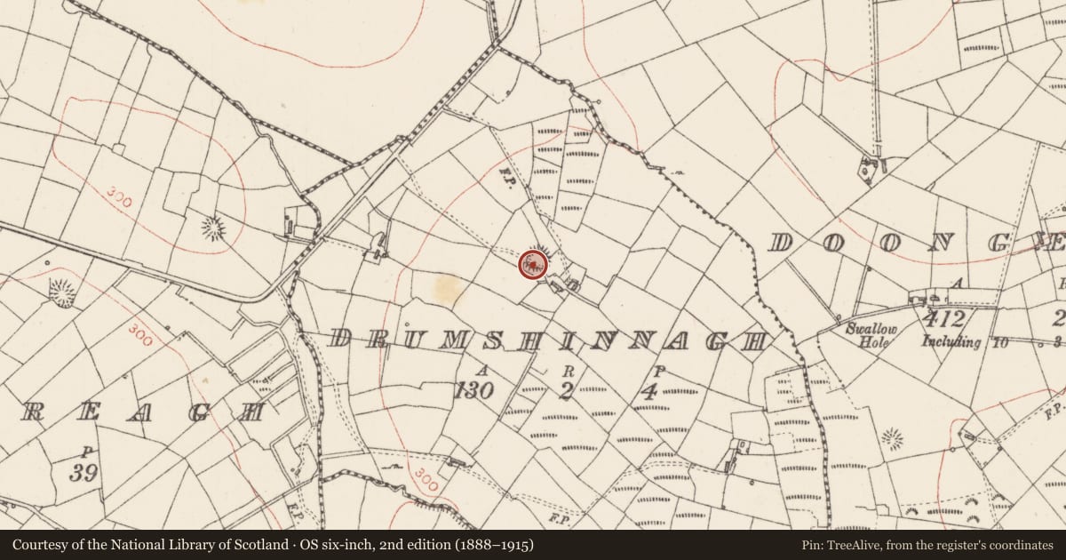 Ordnance Survey six-inch map, 2nd edition (1888–1915) covering the location of Ringfort - rath, Drumshinnagh, County Sligo, with a pin at the register's coordinates