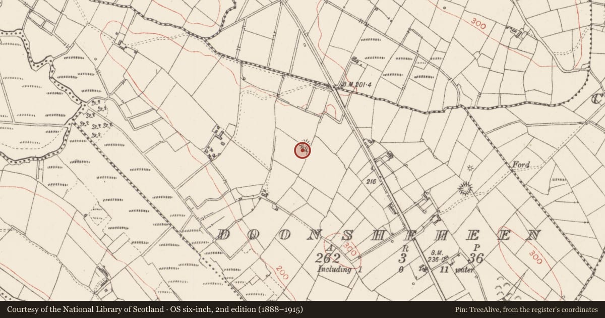 Ordnance Survey six-inch map, 2nd edition (1888–1915) covering the location of Ringfort - rath, Doonsheheen, County Sligo, with a pin at the register's coordinates