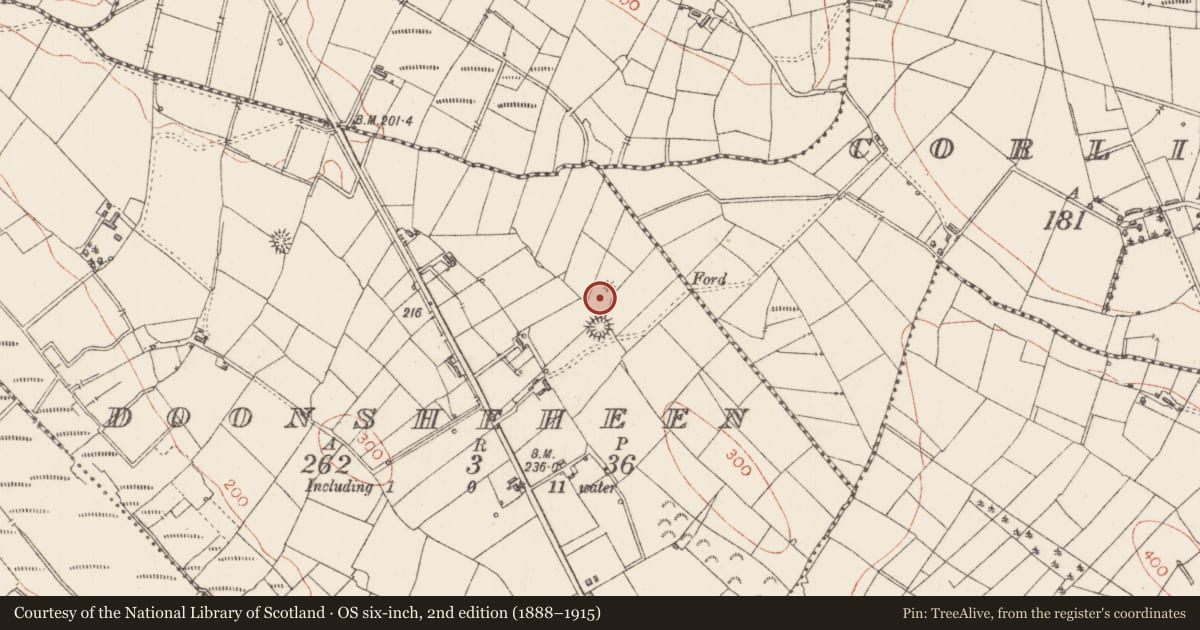 Ordnance Survey six-inch map, 2nd edition (1888–1915) covering the location of Hut site, Doonsheheen, County Sligo, with a pin at the register's coordinates