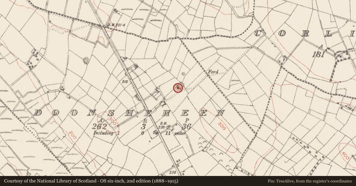 Ordnance Survey six-inch map, 2nd edition (1888–1915) covering the location of Ringfort - rath, Doonsheheen, County Sligo, with a pin at the register's coordinates
