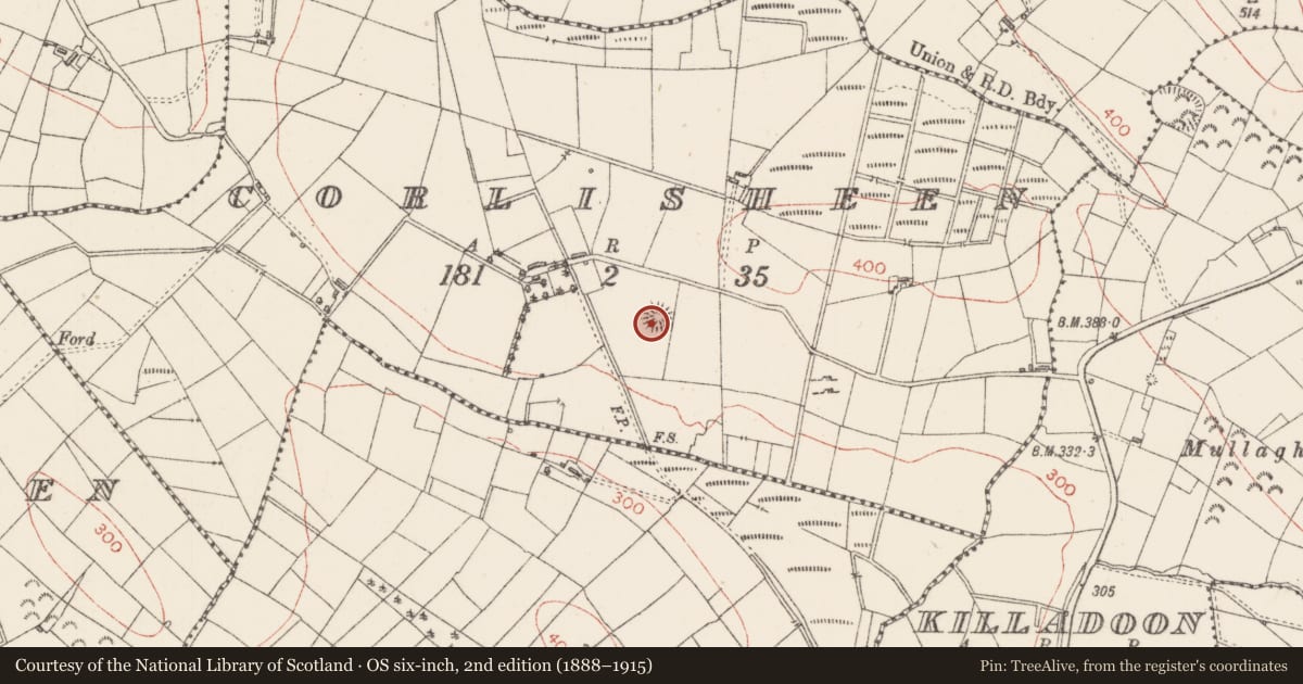 Ordnance Survey six-inch map, 2nd edition (1888–1915) covering the location of Ringfort - rath, Corlisheen, County Sligo, with a pin at the register's coordinates