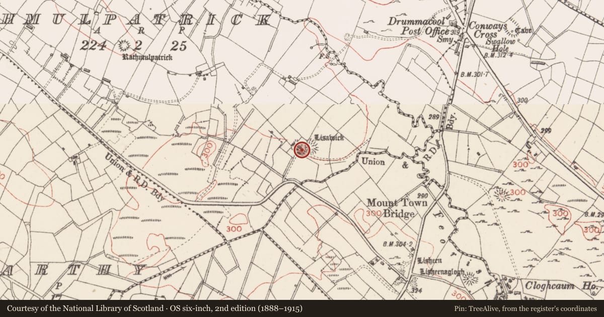 Ordnance Survey six-inch map, 2nd edition (1888–1915) covering the location of Ringfort - rath, Rathmulpatrick, County Sligo, with a pin at the register's coordinates