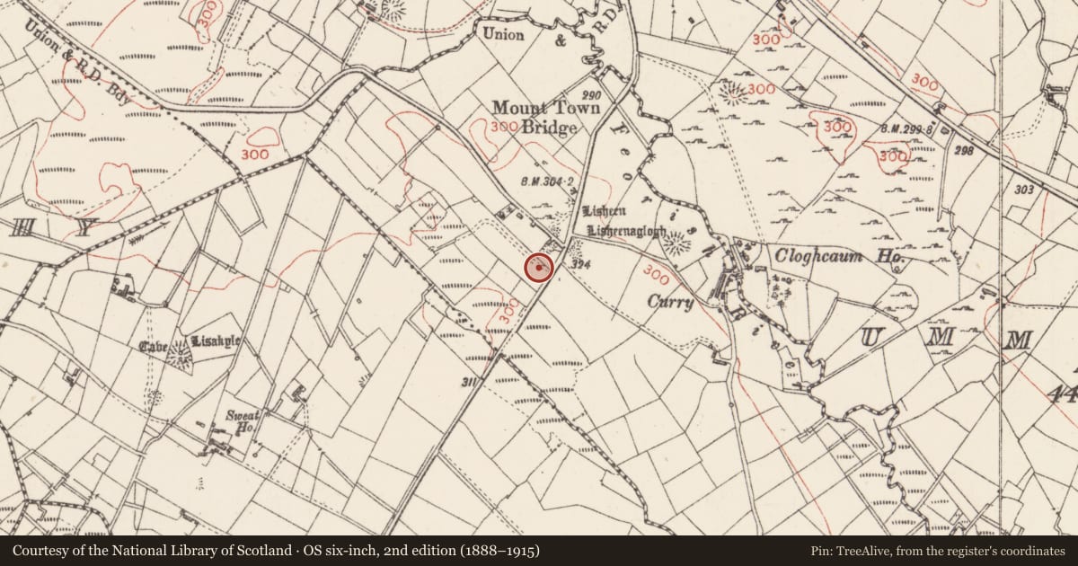 Ordnance Survey six-inch map, 2nd edition (1888–1915) covering the location of Cairn - unclassified, Mount Town, County Sligo, with a pin at the register's coordinates