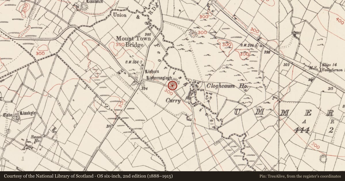 Ordnance Survey six-inch map, 2nd edition (1888–1915) covering the location of Ringfort - rath, Mount Town, County Sligo, with a pin at the register's coordinates