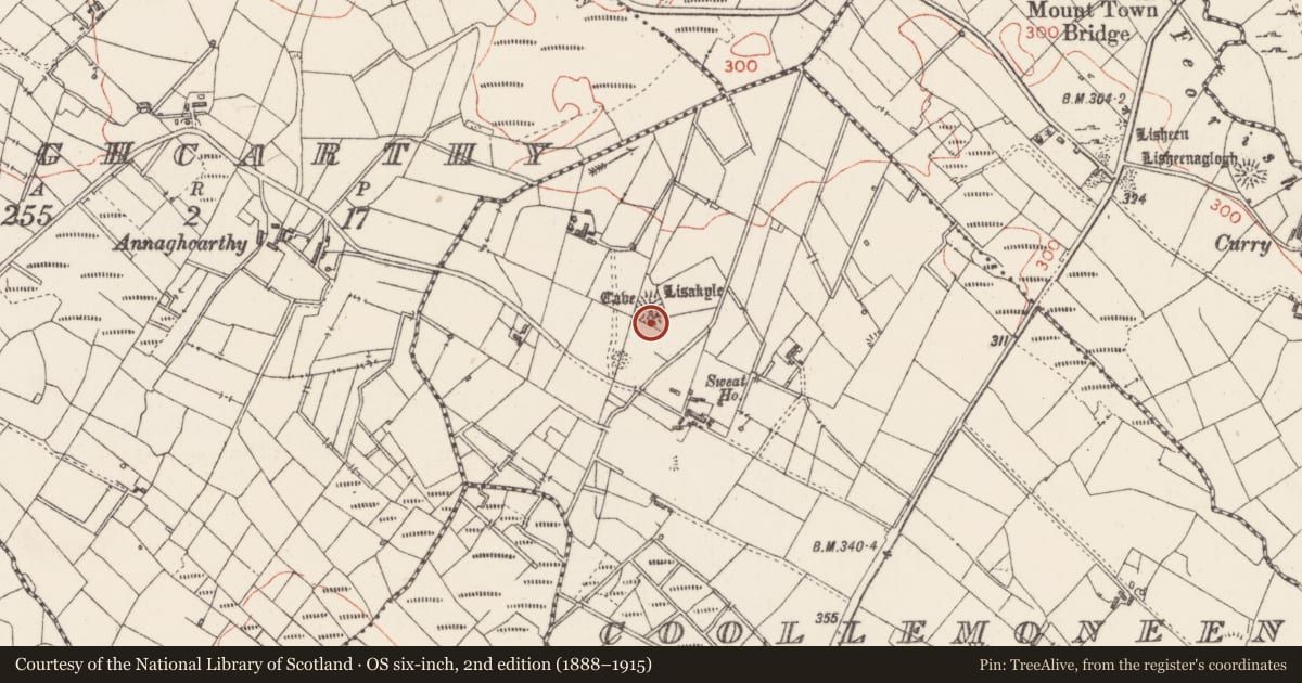 Ordnance Survey six-inch map, 2nd edition (1888–1915) covering the location of Souterrain, Coollemoneen, County Sligo, with a pin at the register's coordinates