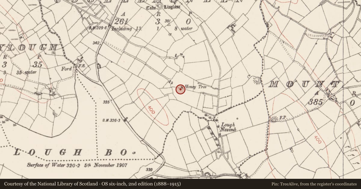 Ordnance Survey six-inch map, 2nd edition (1888–1915) covering the location of Cross-slab, Coollemoneen, County Sligo, with a pin at the register's coordinates