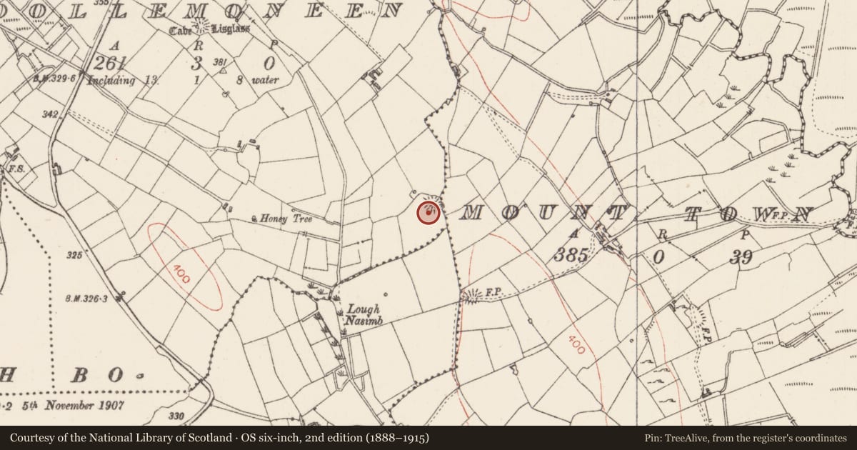 Ordnance Survey six-inch map, 2nd edition (1888–1915) covering the location of Ringfort - rath, Coollemoneen, County Sligo, with a pin at the register's coordinates