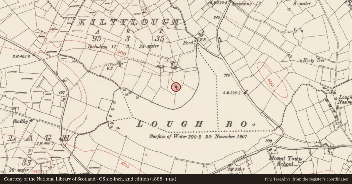 Ordnance Survey six-inch map, 2nd edition (1888–1915) covering the location of Ringfort - rath, Kiltylough, County Sligo, with a pin at the register's coordinates