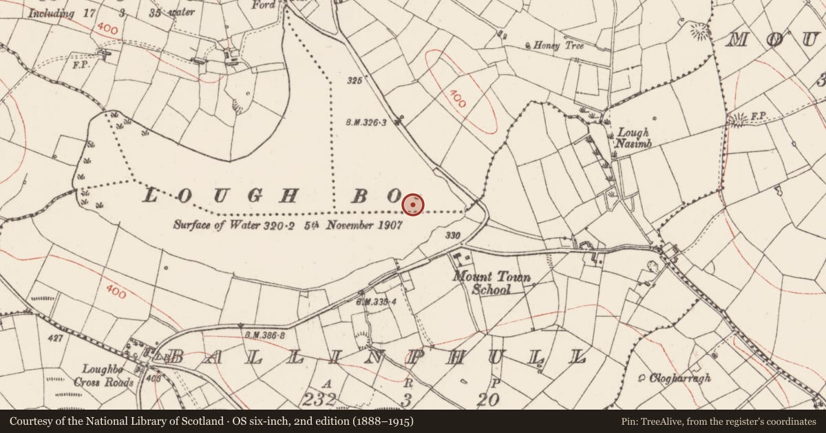 Ordnance Survey six-inch map, 2nd edition (1888–1915) covering the location of Crannog, Coollemoneen, County Sligo, with a pin at the register's coordinates
