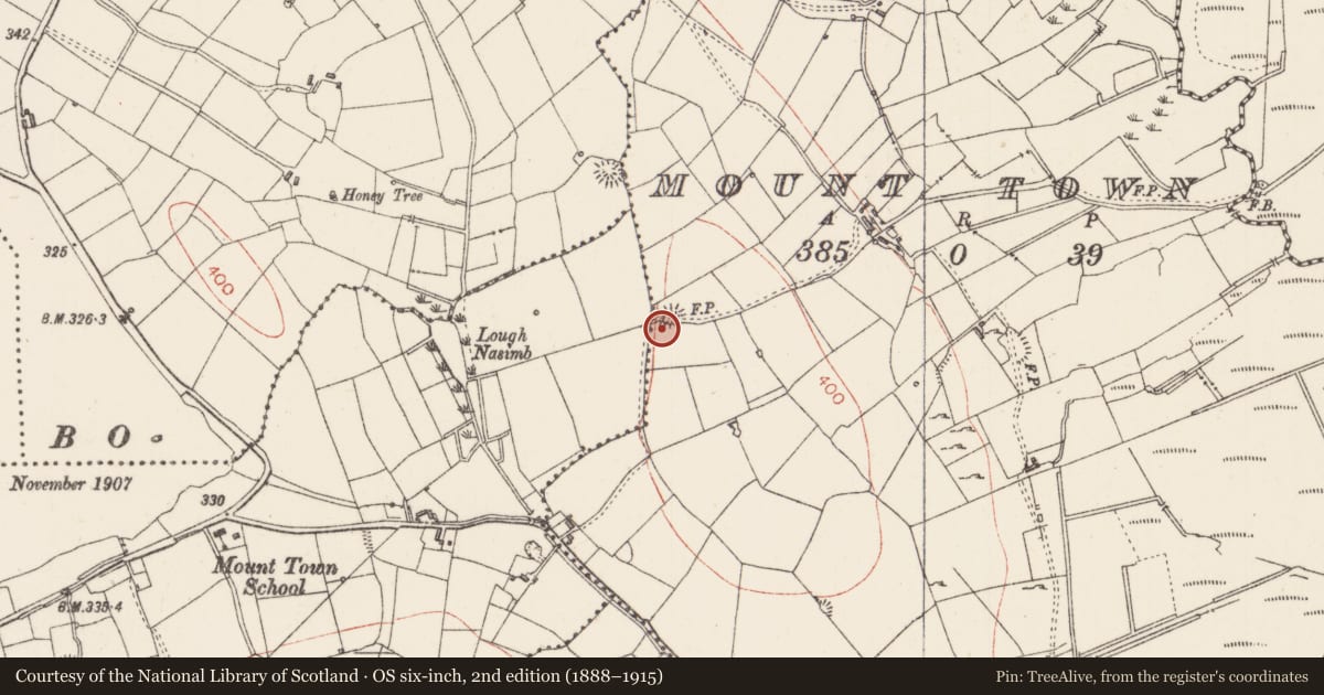 Ordnance Survey six-inch map, 2nd edition (1888–1915) covering the location of Ringfort - rath, Mount Town, County Sligo, with a pin at the register's coordinates