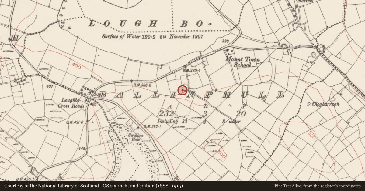 Ordnance Survey six-inch map, 2nd edition (1888–1915) covering the location of Ringfort - rath, Ballinphull, County Sligo, with a pin at the register's coordinates