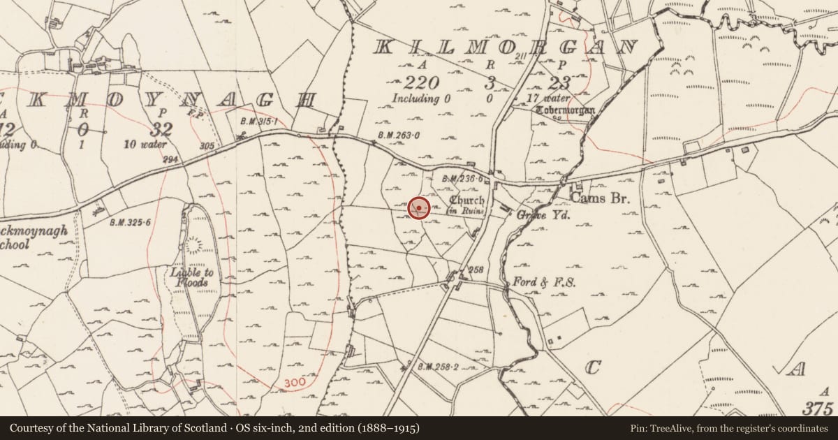 Ordnance Survey six-inch map, 2nd edition (1888–1915) covering the location of Field system, Kilmorgan, County Sligo, with a pin at the register's coordinates