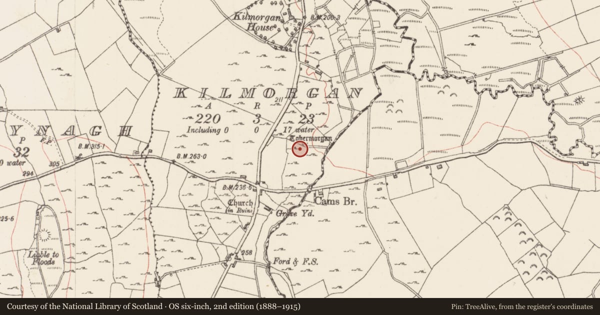Ordnance Survey six-inch map, 2nd edition (1888–1915) covering the location of Ritual site - holy well, Kilmorgan, County Sligo, with a pin at the register's coordinates