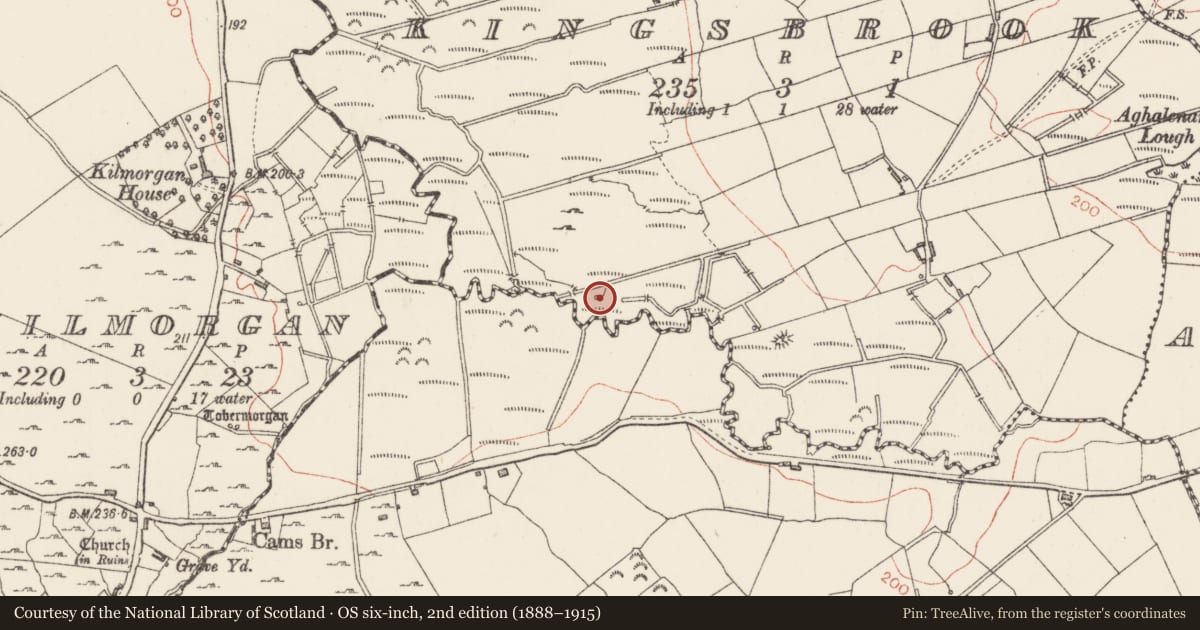 Ordnance Survey six-inch map, 2nd edition (1888–1915) covering the location of Ritual site - holy well, Kingsbrook, County Sligo, with a pin at the register's coordinates