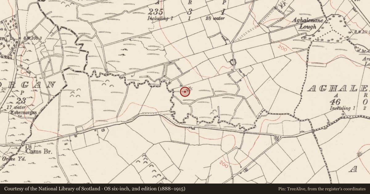 Ordnance Survey six-inch map, 2nd edition (1888–1915) covering the location of Earthwork, Kingsbrook, County Sligo, with a pin at the register's coordinates