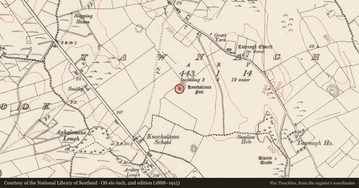 Ordnance Survey six-inch map, 2nd edition (1888–1915) covering the location of Ringfort - rath, Tawnagh, County Sligo, with a pin at the register's coordinates
