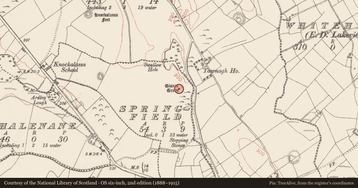 Ordnance Survey six-inch map, 2nd edition (1888–1915) covering the location of Megalithic tomb - portal tomb, Springfield, County Sligo, with a pin at the register's coordinates