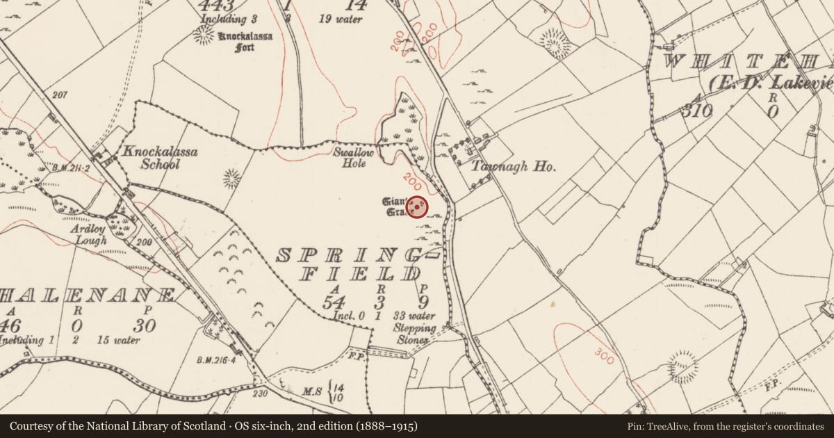 Ordnance Survey six-inch map, 2nd edition (1888–1915) covering the location of Enclosure, Springfield, County Sligo, with a pin at the register's coordinates