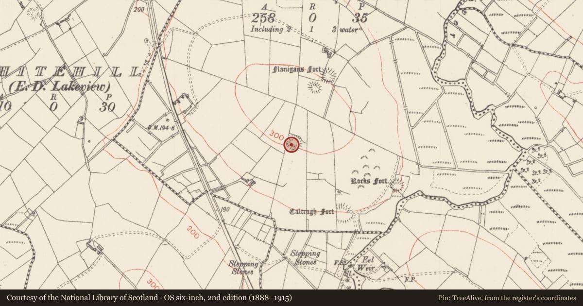 Ordnance Survey six-inch map, 2nd edition (1888–1915) covering the location of Ringfort - rath, Drumraine, County Sligo, with a pin at the register's coordinates