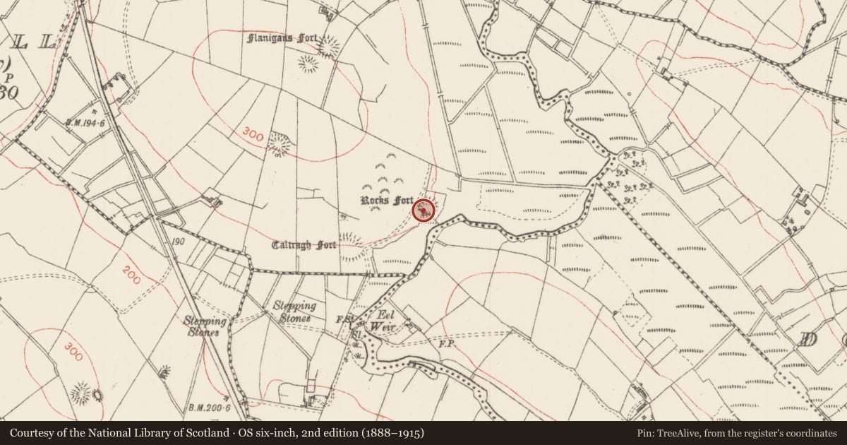 Ordnance Survey six-inch map, 2nd edition (1888–1915) covering the location of Ringfort - rath, Drumraine, County Sligo, with a pin at the register's coordinates