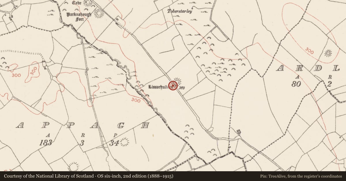 Ordnance Survey six-inch map, 2nd edition (1888–1915) covering the location of Souterrain, Cams, County Sligo, with a pin at the register's coordinates