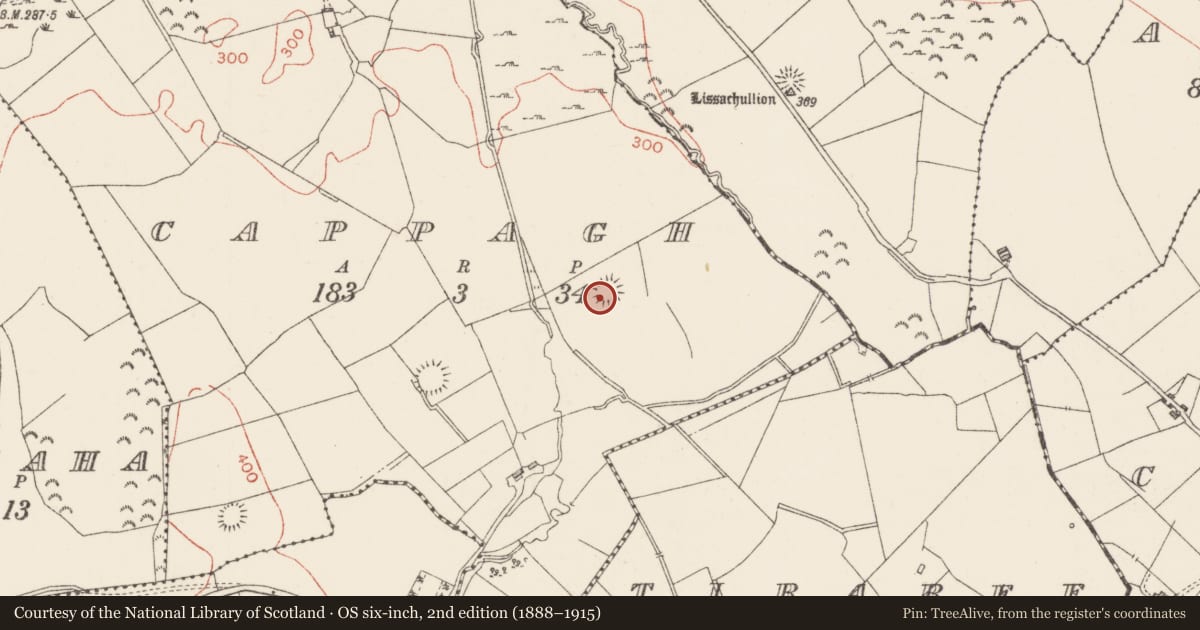 Ordnance Survey six-inch map, 2nd edition (1888–1915) covering the location of Ringfort - rath, Cappagh, County Sligo, with a pin at the register's coordinates
