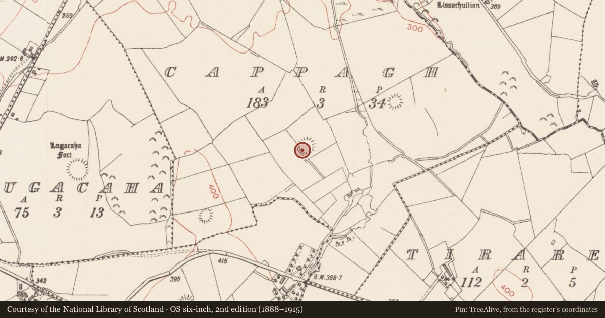 Ordnance Survey six-inch map, 2nd edition (1888–1915) covering the location of Ringfort - rath, Cappagh, County Sligo, with a pin at the register's coordinates