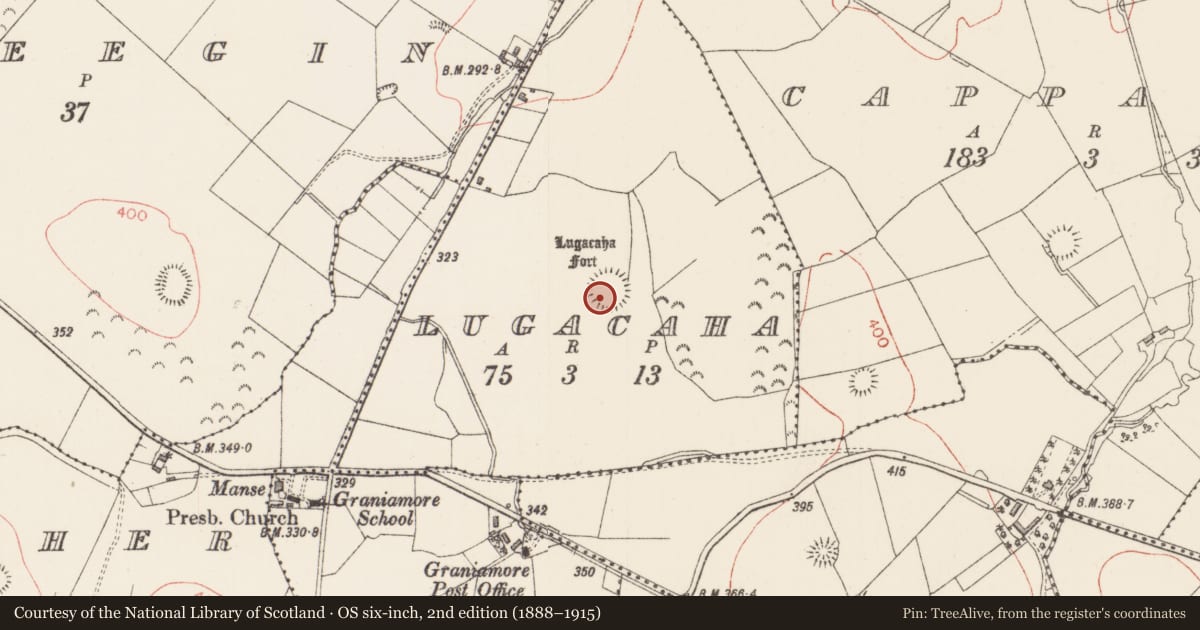 Ordnance Survey six-inch map, 2nd edition (1888–1915) covering the location of Ringfort - rath, Lugacaha, County Sligo, with a pin at the register's coordinates