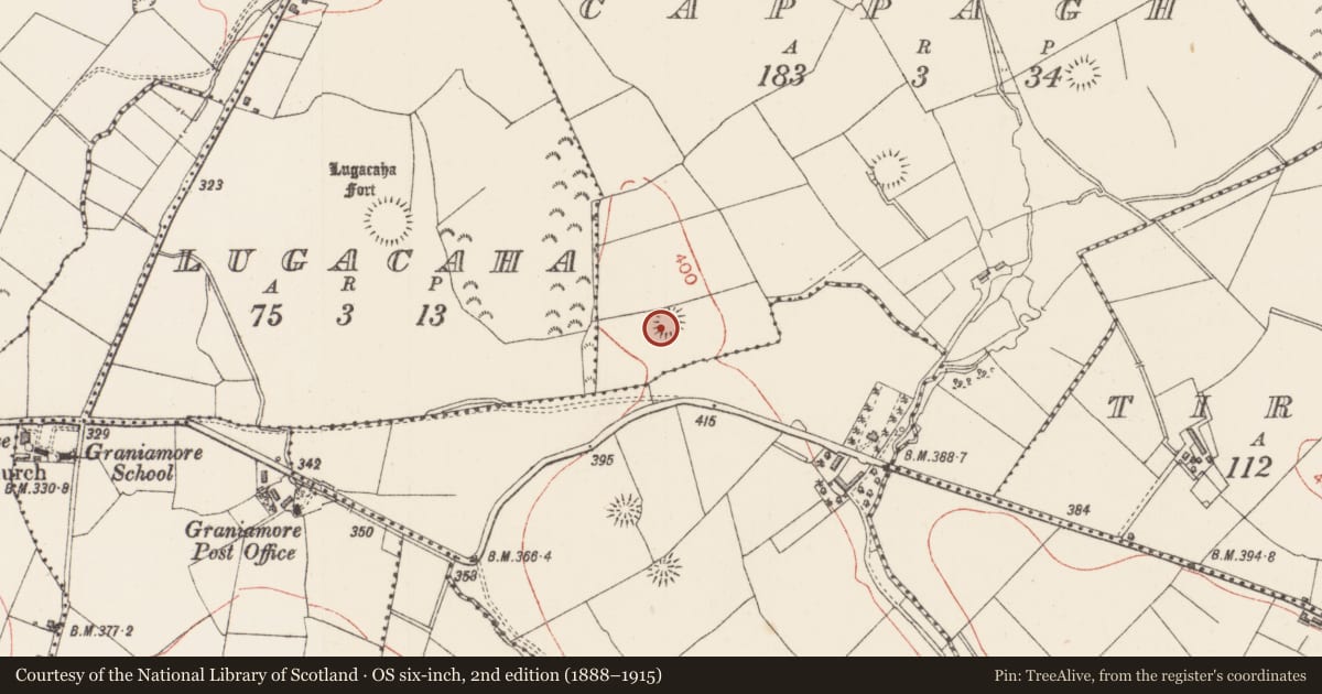 Ordnance Survey six-inch map, 2nd edition (1888–1915) covering the location of Ringfort - rath, Cappagh, County Sligo, with a pin at the register's coordinates