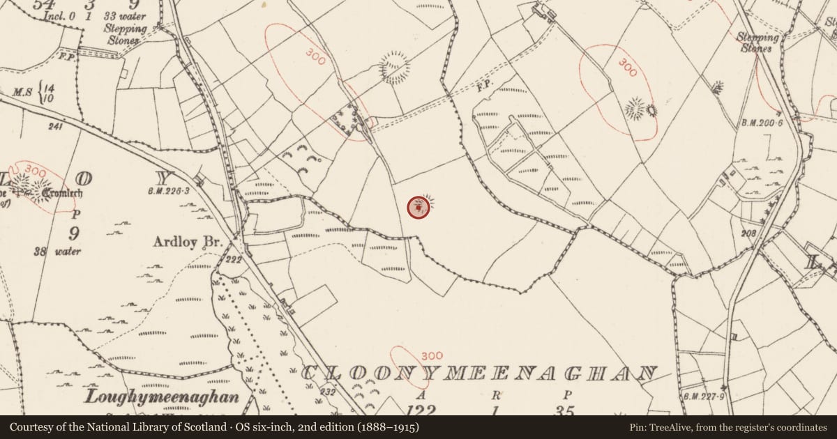 Ordnance Survey six-inch map, 2nd edition (1888–1915) covering the location of Ringfort - rath, Tawnagh, County Sligo, with a pin at the register's coordinates