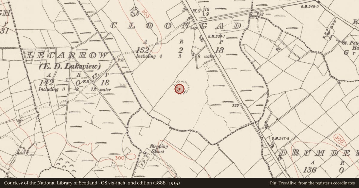 Ordnance Survey six-inch map, 2nd edition (1888–1915) covering the location of Ringfort - rath, Cloongad, County Sligo, with a pin at the register's coordinates