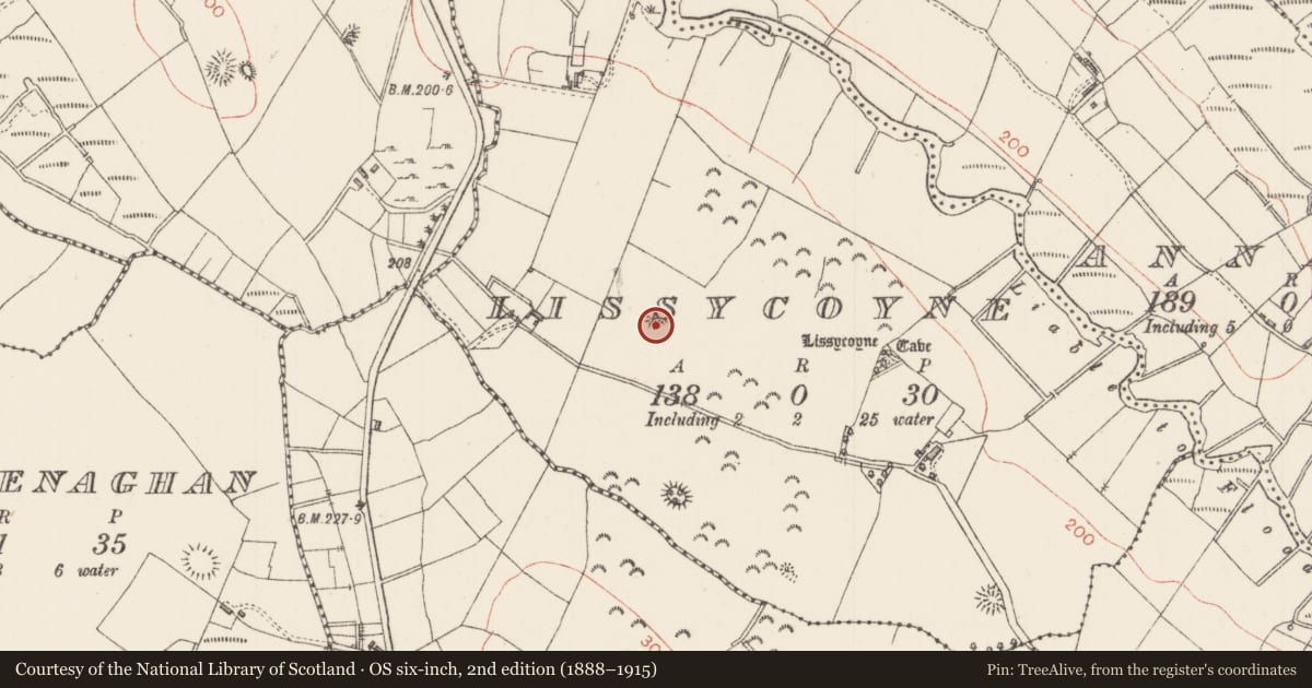 Ordnance Survey six-inch map, 2nd edition (1888–1915) covering the location of Ringfort - rath, Lissycoyne, County Sligo, with a pin at the register's coordinates