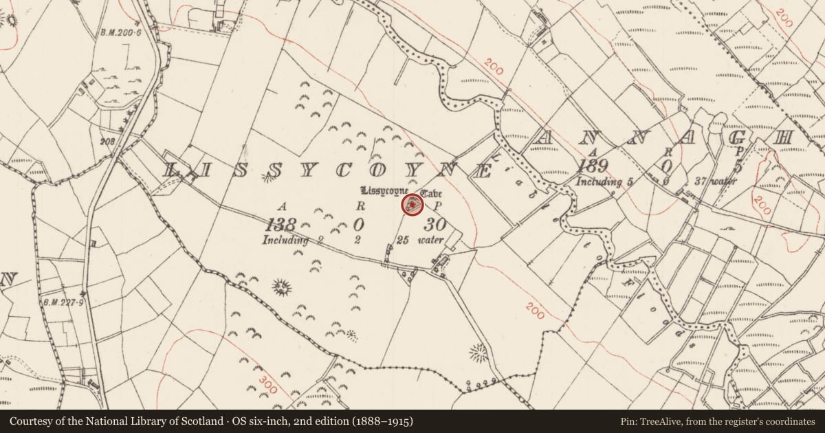 Ordnance Survey six-inch map, 2nd edition (1888–1915) covering the location of Ringfort - rath, Lissycoyne, County Sligo, with a pin at the register's coordinates