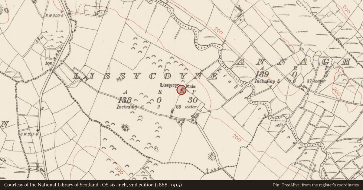 Ordnance Survey six-inch map, 2nd edition (1888–1915) covering the location of Souterrain, Lissycoyne, County Sligo, with a pin at the register's coordinates
