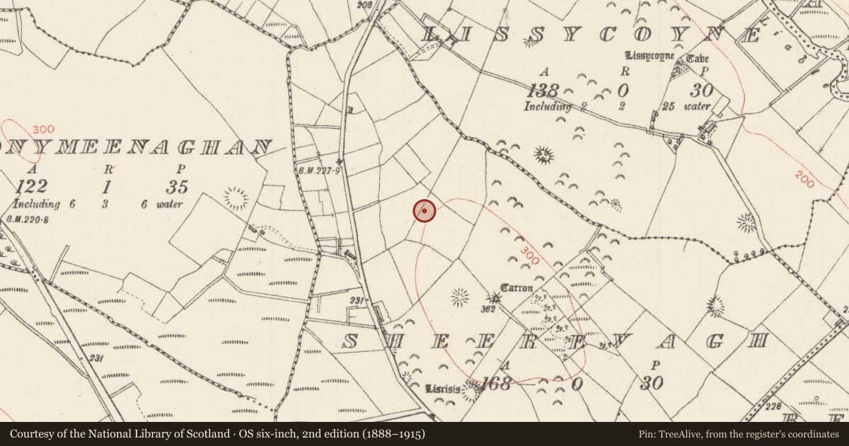 Ordnance Survey six-inch map, 2nd edition (1888–1915) covering the location of Ringfort - rath, Sheerevagh, County Sligo, with a pin at the register's coordinates