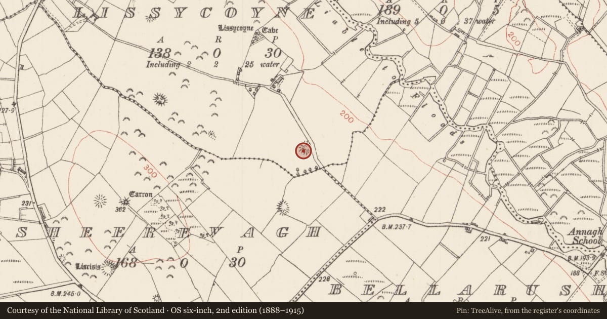 Ordnance Survey six-inch map, 2nd edition (1888–1915) covering the location of Ringfort - rath, Lissycoyne, County Sligo, with a pin at the register's coordinates
