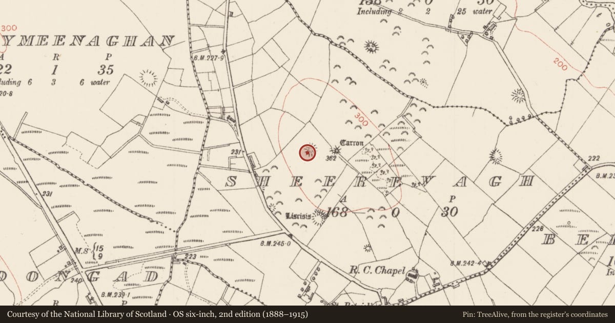 Ordnance Survey six-inch map, 2nd edition (1888–1915) covering the location of Ringfort - rath, Sheerevagh, County Sligo, with a pin at the register's coordinates