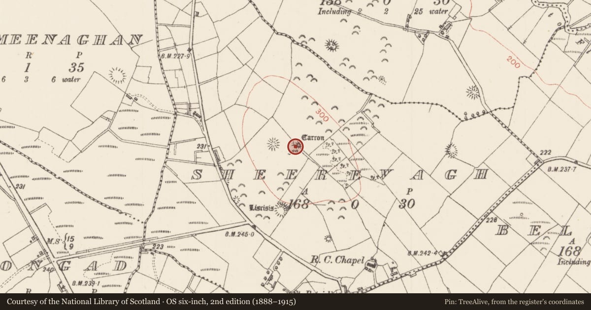 Ordnance Survey six-inch map, 2nd edition (1888–1915) covering the location of Barrow - bowl-barrow, Sheerevagh, County Sligo, with a pin at the register's coordinates